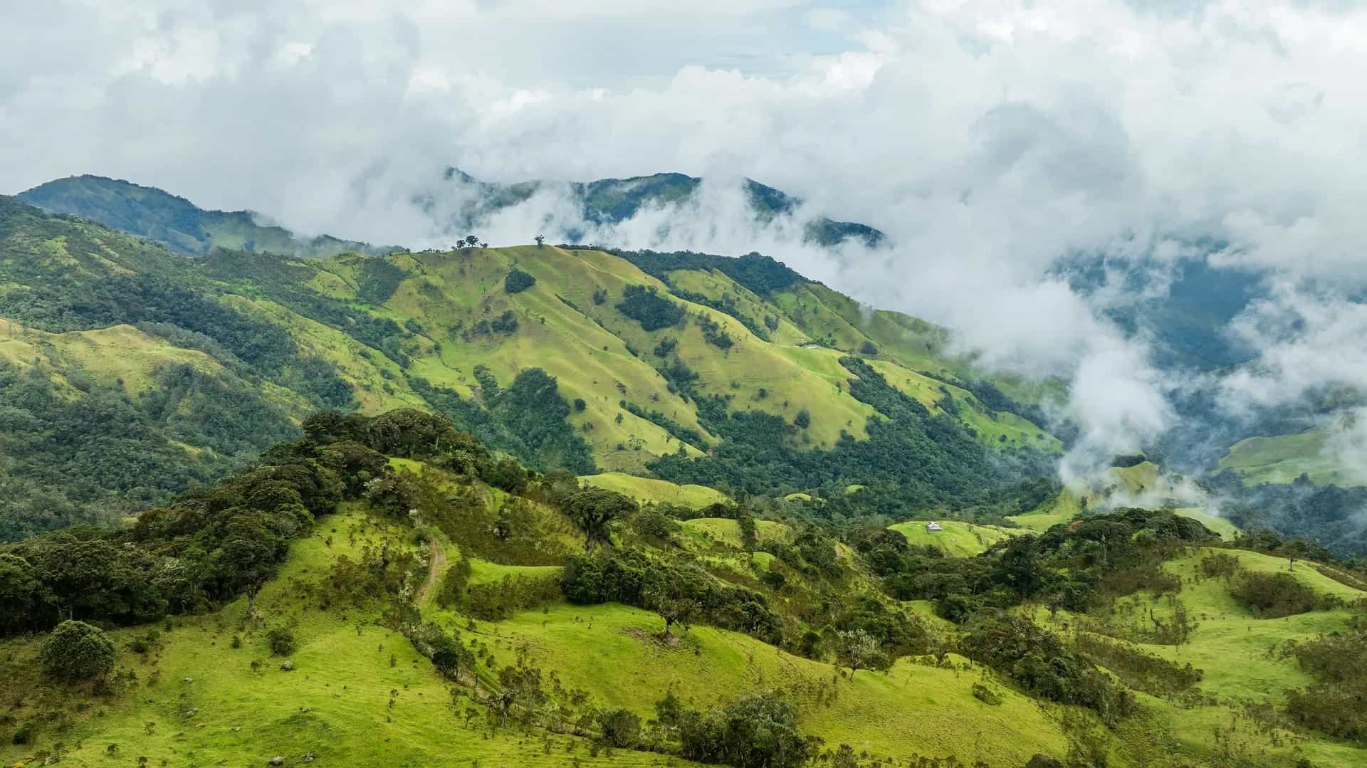 Lush green Colombian coffee mountains